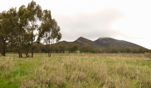 The Rock Nature Reserve - Kengal Aboriginal Place - New Castle Tourism 2