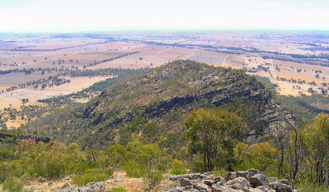 The Rock Nature Reserve - Kengal Aboriginal Place - New Castle Tourism 3
