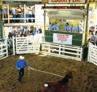Gracemere Exhibition Complex - New Castle Tourism