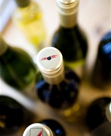 Charles Sturt University Winery Wagga Wagga - Newcastle Accommodation 2