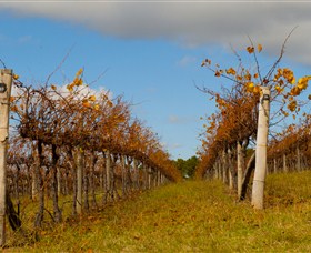 Charles Sturt University Winery Wagga Wagga - Newcastle Accommodation 3
