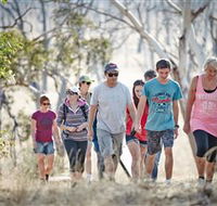 Winton Wetlands Reserve - New Castle Tourism