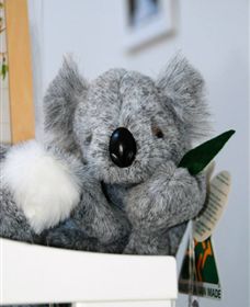 Timboon Toybox - Newcastle Accommodation 1