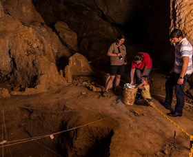 Capricorn Caves - New Castle Tourism 2