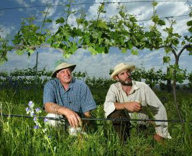 Rosnay Organic Farm And Vineyard - New Castle Tourism 1