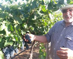 Rosnay Organic Farm And Vineyard - New Castle Tourism 6