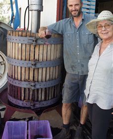 Rosnay Organic Farm And Vineyard - New Castle Tourism 5