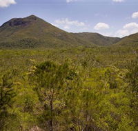 Kutini-Payamu Iron Range National Park CYPAL - New Castle Tourism