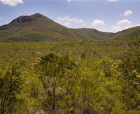 Kutini-Payamu (Iron Range) National Park (CYPAL) - Newcastle Accommodation 0