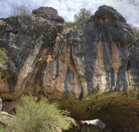 Borenore Karst Conservation Reserve - New Castle Tourism