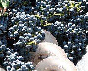 Orange Mountain Wines - New Castle Tourism 2