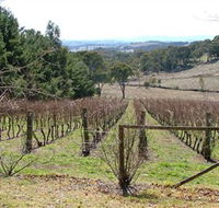 Habitat Vineyard - New Castle Tourism