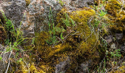 Hopetoun Falls Walking Track - New Castle Tourism 2