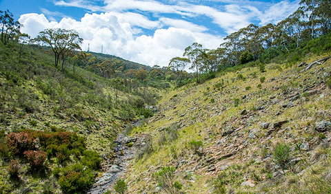 Hopetoun Falls Walking Track - New Castle Tourism 3