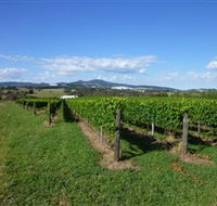Hedberg Hill Wines - New Castle Tourism