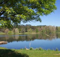 Lake Canobolas Reserve - New Castle Tourism