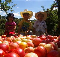 Bonny Glen Fruits - New Castle Tourism