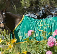 Living Legends The International Home of Rest for Champion Horses - New Castle Tourism