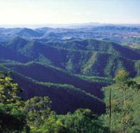 Kroombit Tops National Park - New Castle Tourism