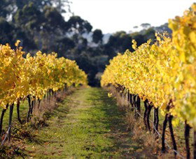 Otway Estate - Newcastle Accommodation 6