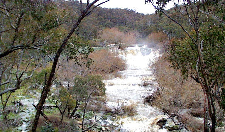 Ophir NSW New Castle Tourism