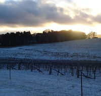Charles Sturt University Winery - New Castle Tourism