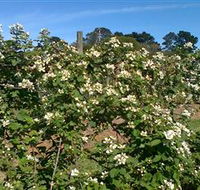 Huntley Berry Farm - New Castle Tourism