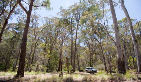 Coolah Tops National Park - New Castle Tourism 0