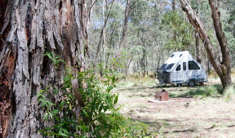 Coolah Tops National Park - New Castle Tourism 2