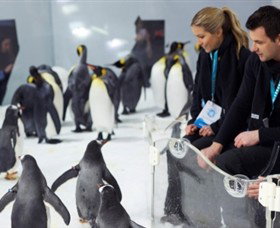 SEA LIFE Melbourne Aquarium - Newcastle Accommodation 2