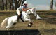 National Equestrian Centre - Kerrabee - thumb 0