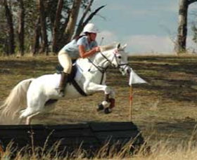 National Equestrian Centre - Kerrabee - Newcastle Accommodation 0