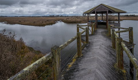 Mother Of Ducks Lagoon Nature Reserve - New Castle Tourism 3