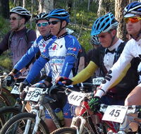 Boyd River loop - Newcastle Accommodation