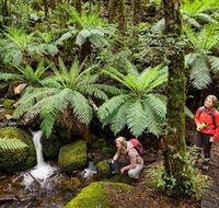 Baw Baw National Park - New Castle Tourism