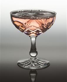 Polit Bar - More Than Cocktails - Newcastle Accommodation 2