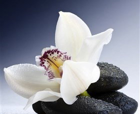 H2O Spa - Newcastle Accommodation 1