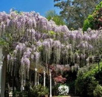 Nooroo Gardens - New Castle Tourism