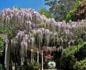 Nooroo Gardens - New Castle Tourism 0