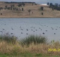 Lake Liddell Recreation Area - New Castle Tourism