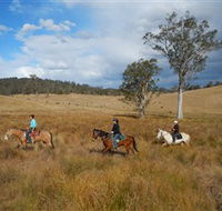 Chapman Valley Horse Riding - Newcastle Accommodation