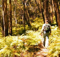 Federal Pass - New Castle Tourism