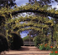 Blue Mountains Botanic Garden - Newcastle Accommodation