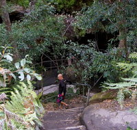 Leura Cascades Fern Bower - New Castle Tourism