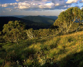 Namadgi National Park And Visitors Centre - New Castle Tourism 2