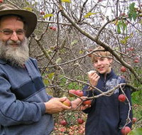 Pine Crest Orchard - Newcastle Accommodation