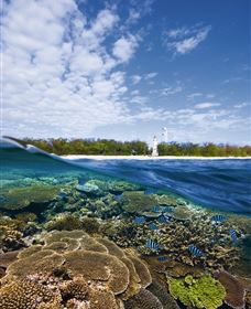Southern Great Barrier Reef - New Castle Tourism 2