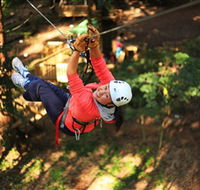 Trees Adventure Grose River Park - New Castle Tourism