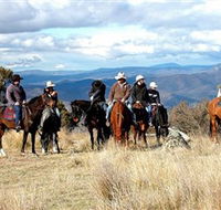 Snowy Wilderness - Newcastle Accommodation