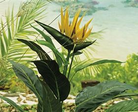 Lapstone NSW Newcastle Accommodation